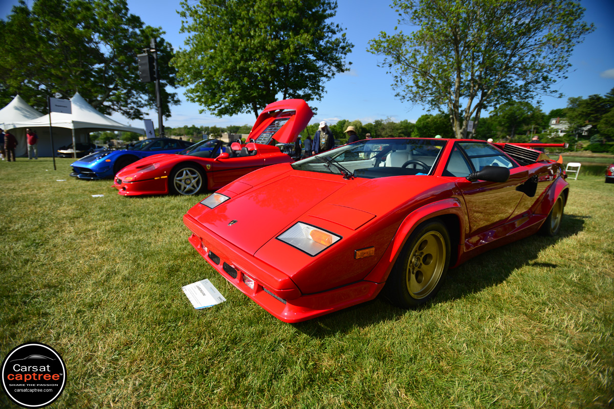 D8E_1831 copy.jpg